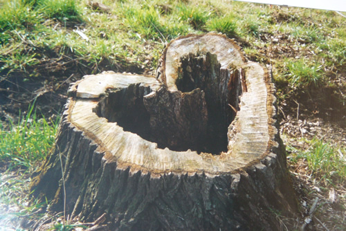 De Winning Bed & Breakfast foto